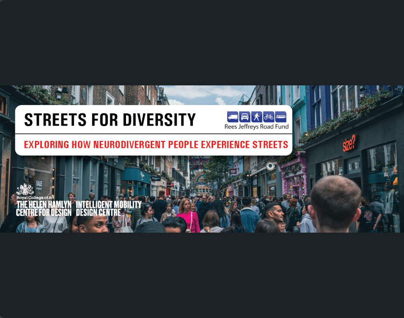 Image of people walking along an urban street with words 'Streets for Diversity' superimposed over like a street sign